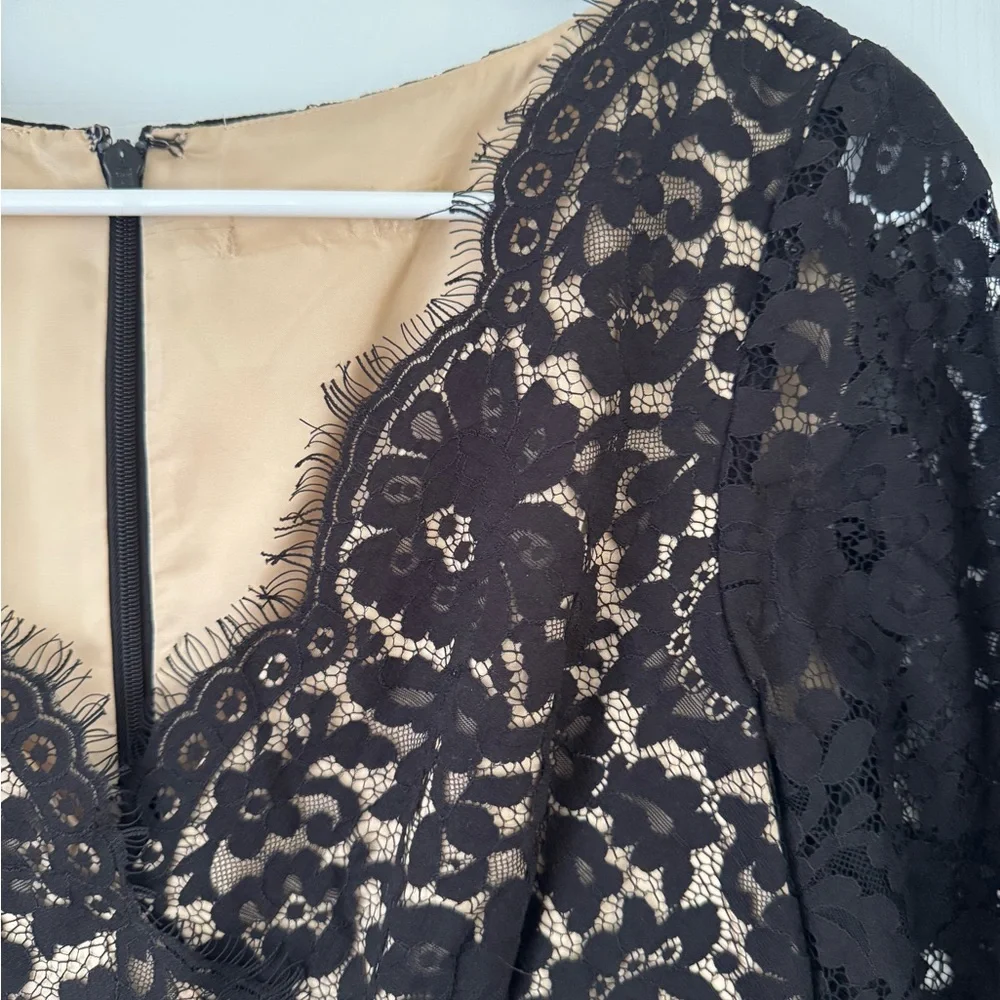 Eliza J Black Eyelash Lace and Faille Fit and Flare Cocktail Dress - Picture 3 of 6